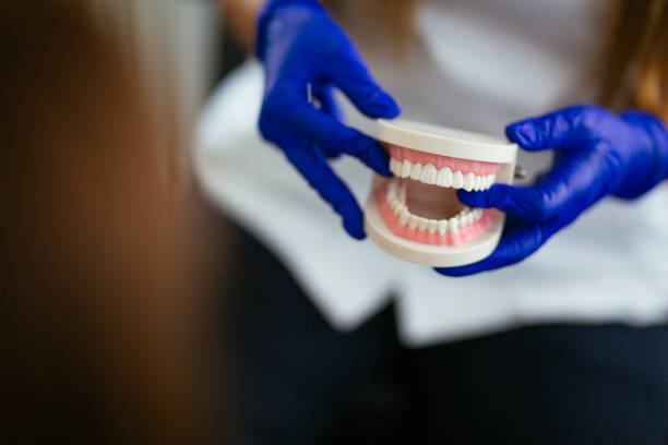 Best Dental Exams and Cleanings  in University Park, MD